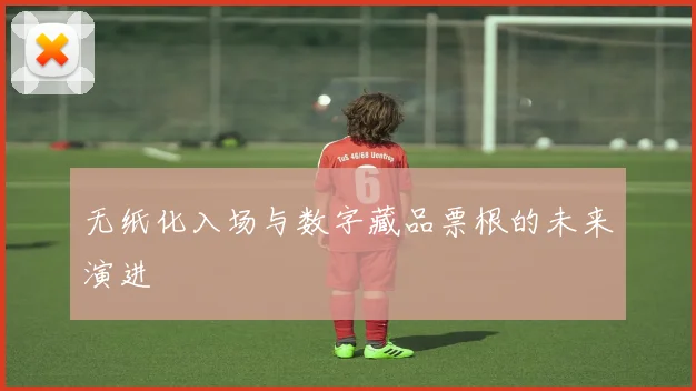 无纸化入场与数字藏品票根的未来演进