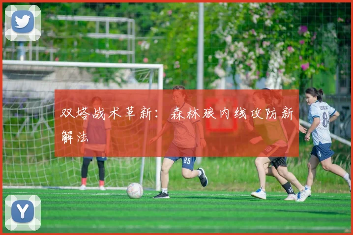 双塔战术革新：森林狼内线攻防新解法