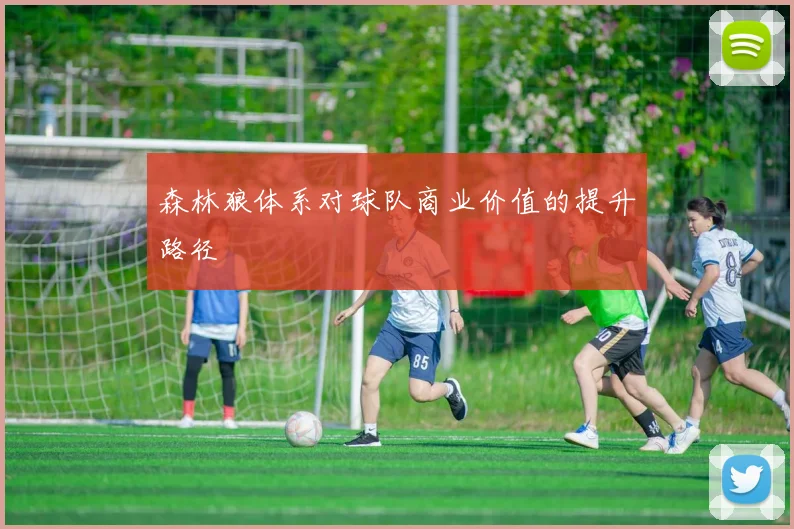 森林狼体系对球队商业价值的提升路径