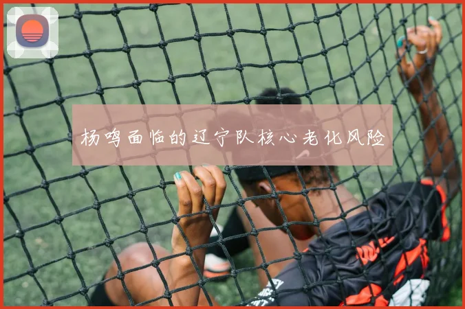 杨鸣面临的辽宁队核心老化风险