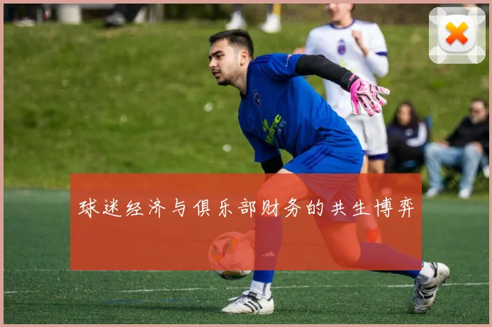 球迷经济与俱乐部财务的共生博弈