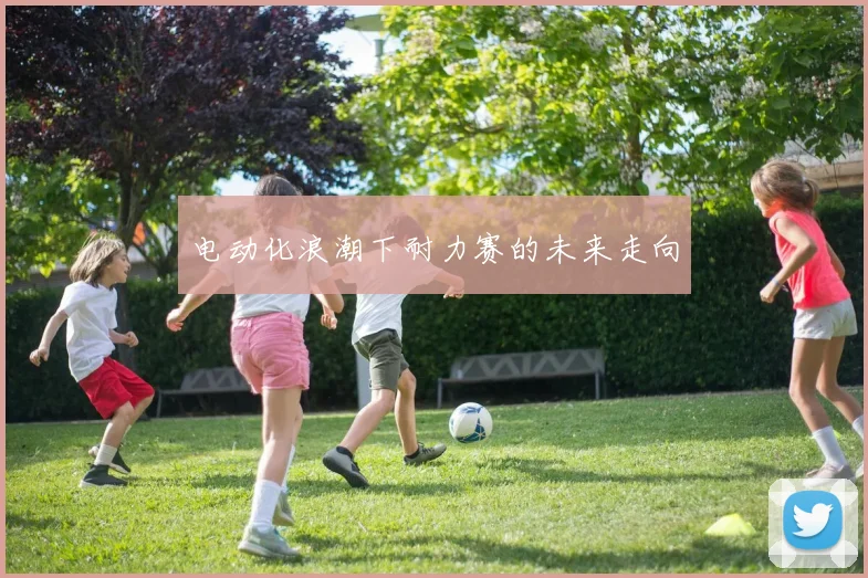 电动化浪潮下耐力赛的未来走向