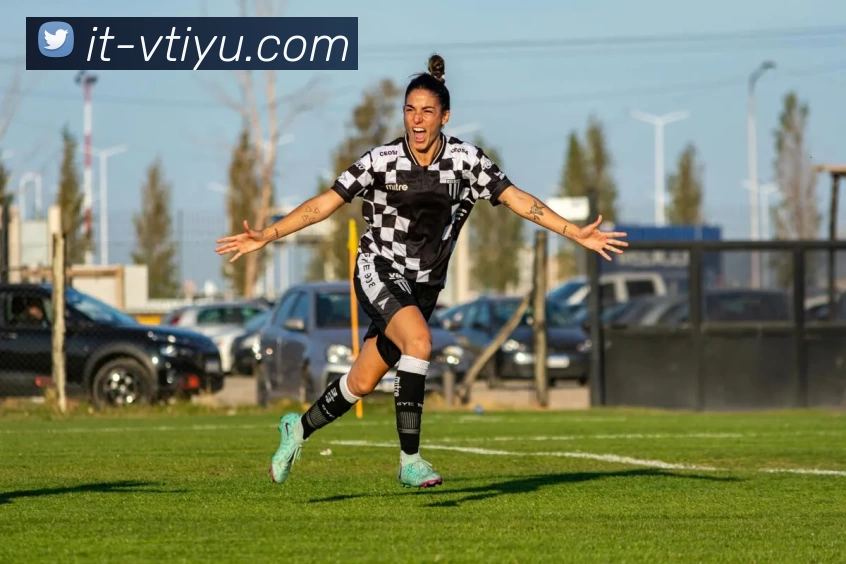 v体育官网平台生态图